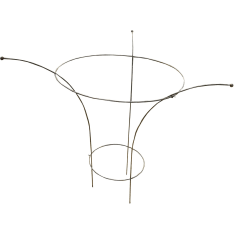 Plant support Pion