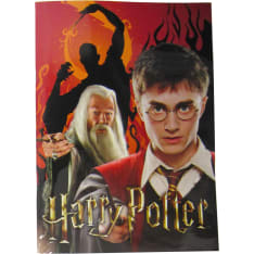 Harry Potter Harry & Dumbledore värityskirja