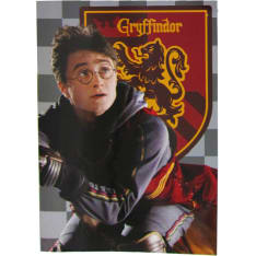 Harry Potter Gryffindor värityskirja