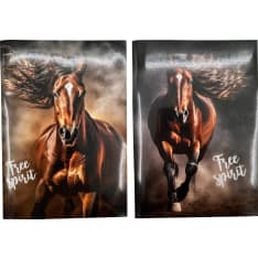 Free Spirit A5 stapled notebook (assorted)