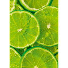 Tactic Lime muistikirja