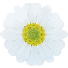Finnmari Kukka tabletti