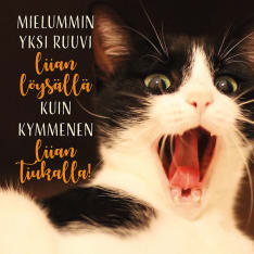 Linnapaperi MTFM 100 #tulivaanmieleen magneetti