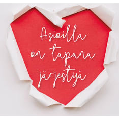Linnapaperi MTFM-180 #tulivaanmieleen magneetti