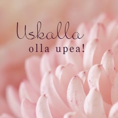 Linnapaperi MTFM 184 magnet