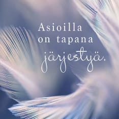 Linnapaperi MTFM 185 magnet