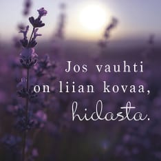 Linnapaperi MTFM 186 magnet