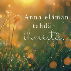 Linnapaperi MTFM 187 magnet