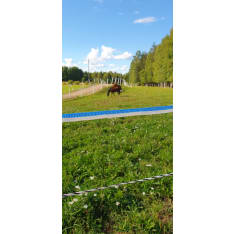 Olli blue-and-white Fence Tape 12mm/200m