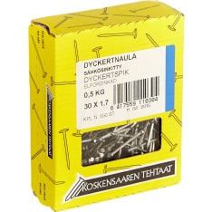 Koskensaari 30x1.7 0.5kg galvanized dyckert nail