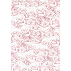 Design card A4 Rose light pink 5pcs