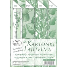 J.K. Primeco Pohjolan metsä A6 kartonkilajitelma