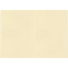 J.K. Primeco 10pcs Kaisla ivory Folded card