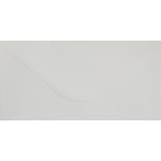Envelope long 22x11cm white 10pc