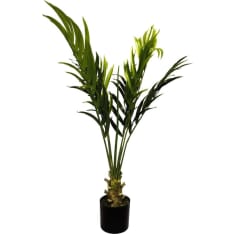 Chic Home Collection Betelpalmu 110cm tekokasvi