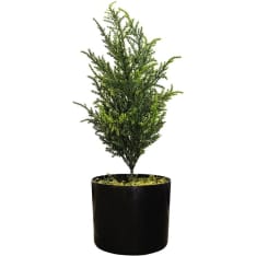 Chic Home Collection Sypressi 42 cm tekokasvi