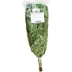 Eucalyptus saunavasta