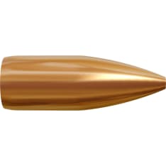 Lapua 9.3 G574 12 g 100 pcs bullet