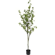 Amanda B Garden 190cm tekopuu