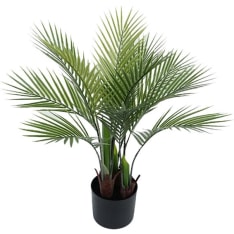 Amanda B Tropical 70cm palmu tekokasvi