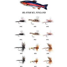 HL Päikkäri 12 kpl pintaperholajitelma