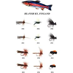 HL All Star 12 kpl pintaperholajitelma