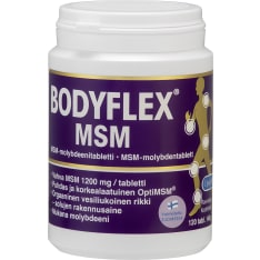 Bodyflex MSM 120 tabl. ravintolisä