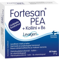Fortesan PEA + Koliini + B6 60kaps ravintolisä