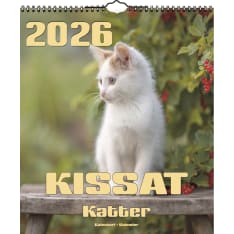 Suomen Aika Kissat 2026 iso seinäkalenteri