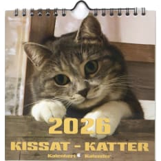 Finnish Time Cats 2026 midi wall calendar