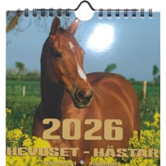 Suomen Aika Hevoset 2026 midi seinäkalenteri