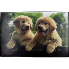 TIME writing pad Dog