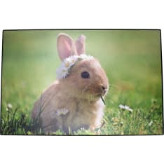 AIKA kirjoitusalusta Rabbit