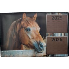 TIME writing pad Horse