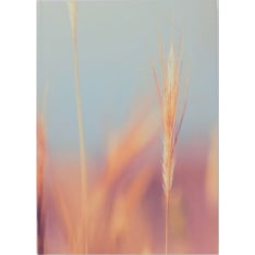 Time Doveloping A5 bound notebook