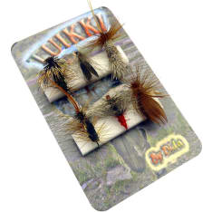 Dida Sedge perholajitelma