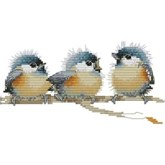 Farnia Crazy birds 32x18cm cross stitch kit
