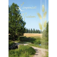 Korttiriihi D4251 Hyvä Muisto adressi