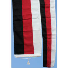 Plast central Finnish pennant
