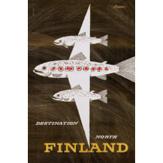 Come to Finland Lohilento by Bruun postikortti
