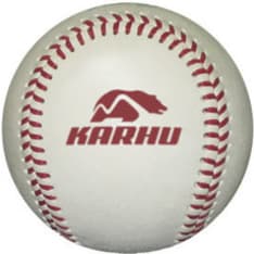 Karhu 553 pihapesispallo