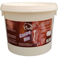 Criollo GastroMix 1.5 kg supplementary feed for horses