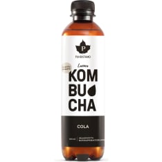 Cleanser Organic Cola 400 ml kombucha