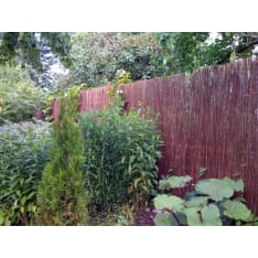Hortex 1.8x3 m willow mat