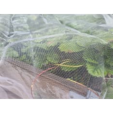 Hortex 1,4 x 5 m tuhohyönteisverkko