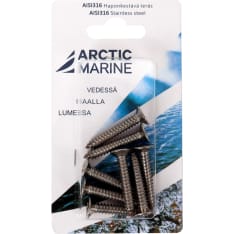 Arctic Marine DIN7982 AISI 316 6,3X38 8 kpl Levyruuvi