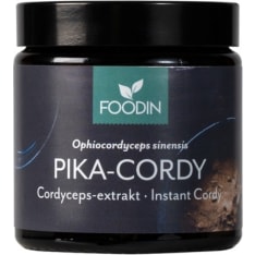 Foodin Pika-Cordy 40 g dietary supplement