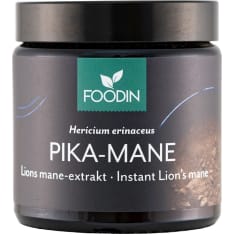 Foodin Pika-Mane 40 g ravintolisä