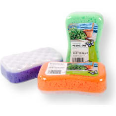 Proclean pesusieni