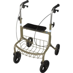 Tyke Sauli walking stick